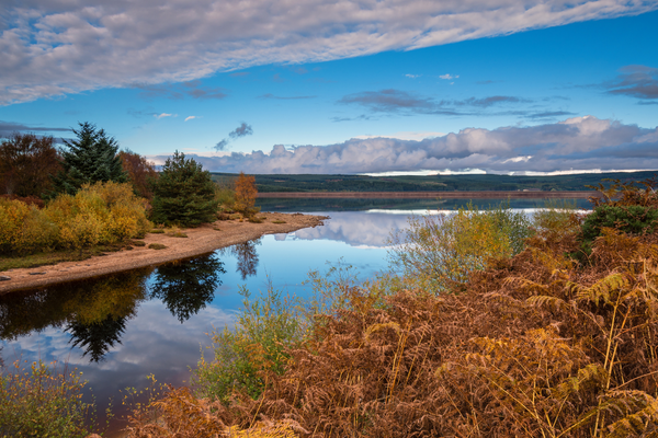 Kielder water